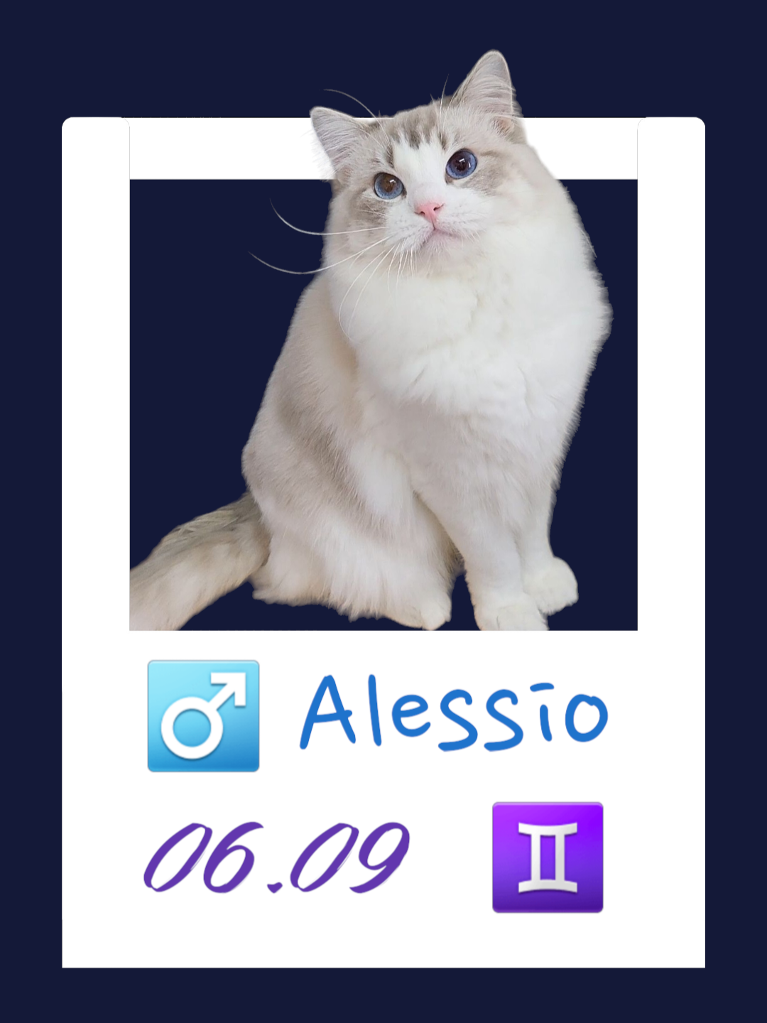 Alessio/喔喔