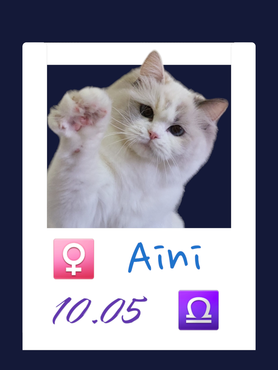 Aini /艾妮
