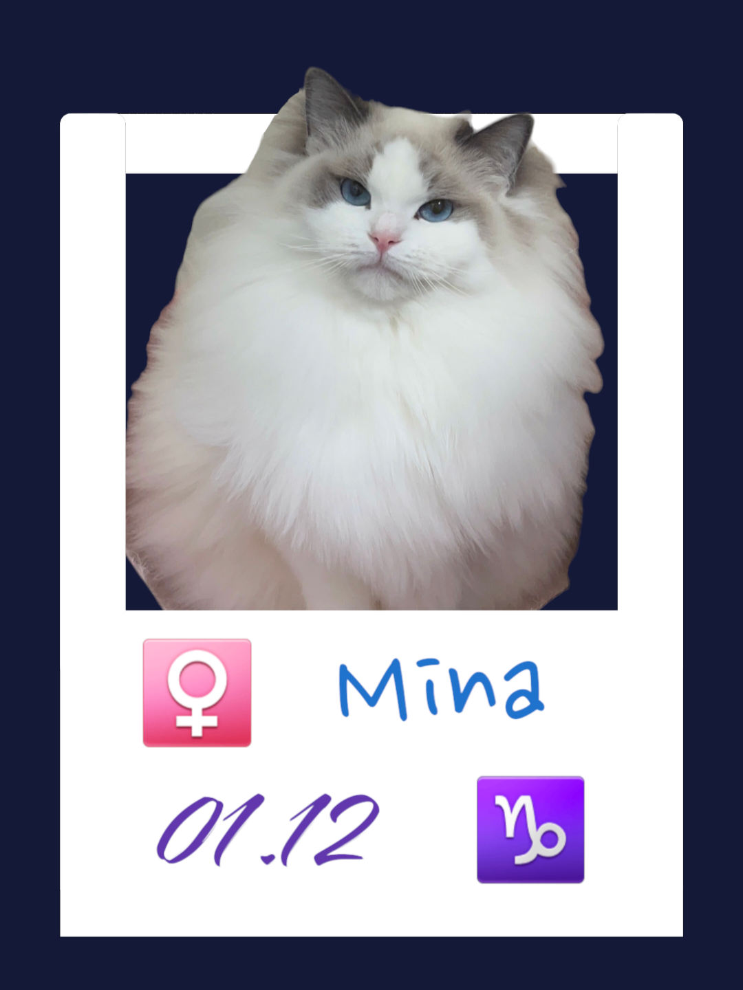 Mina / 娜娜