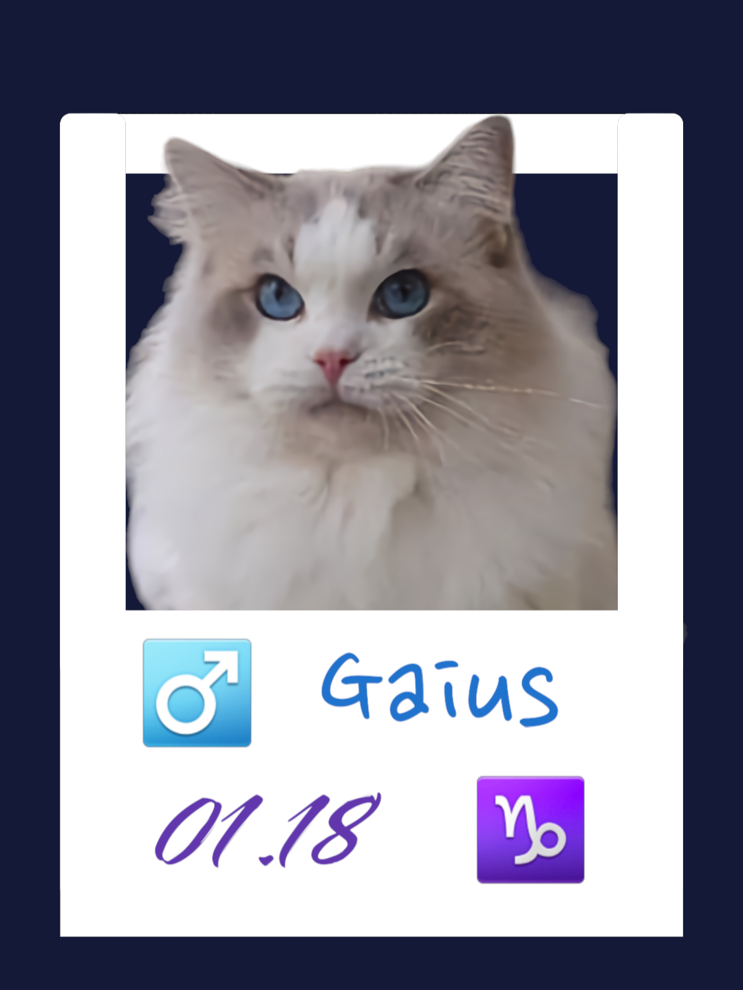 Gaius / 凱撒
