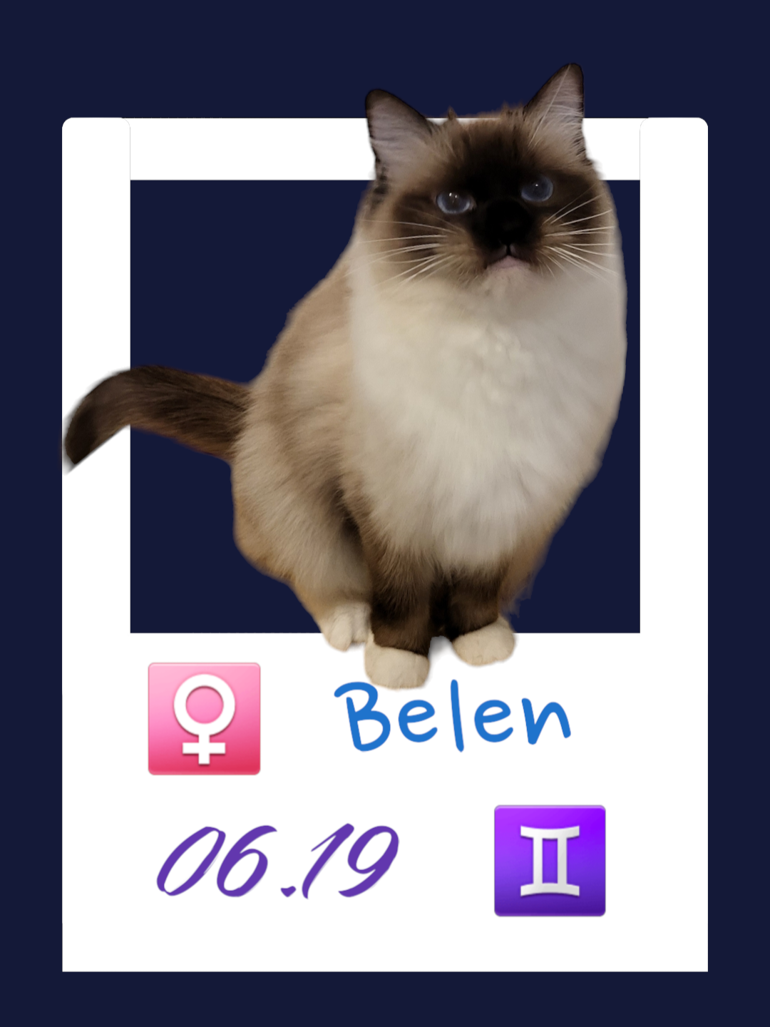 Belen / Co