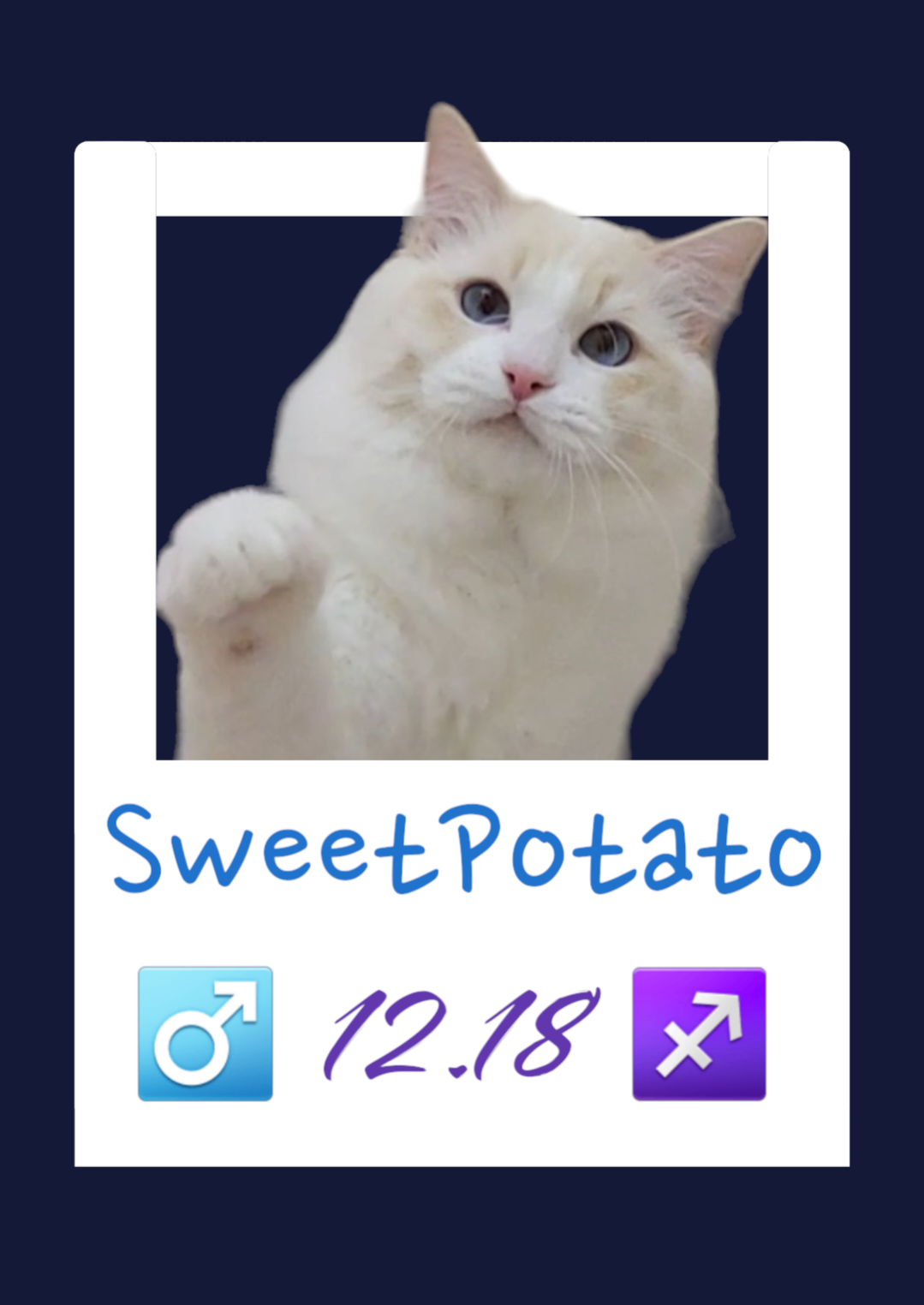 Sweet potato/小地瓜