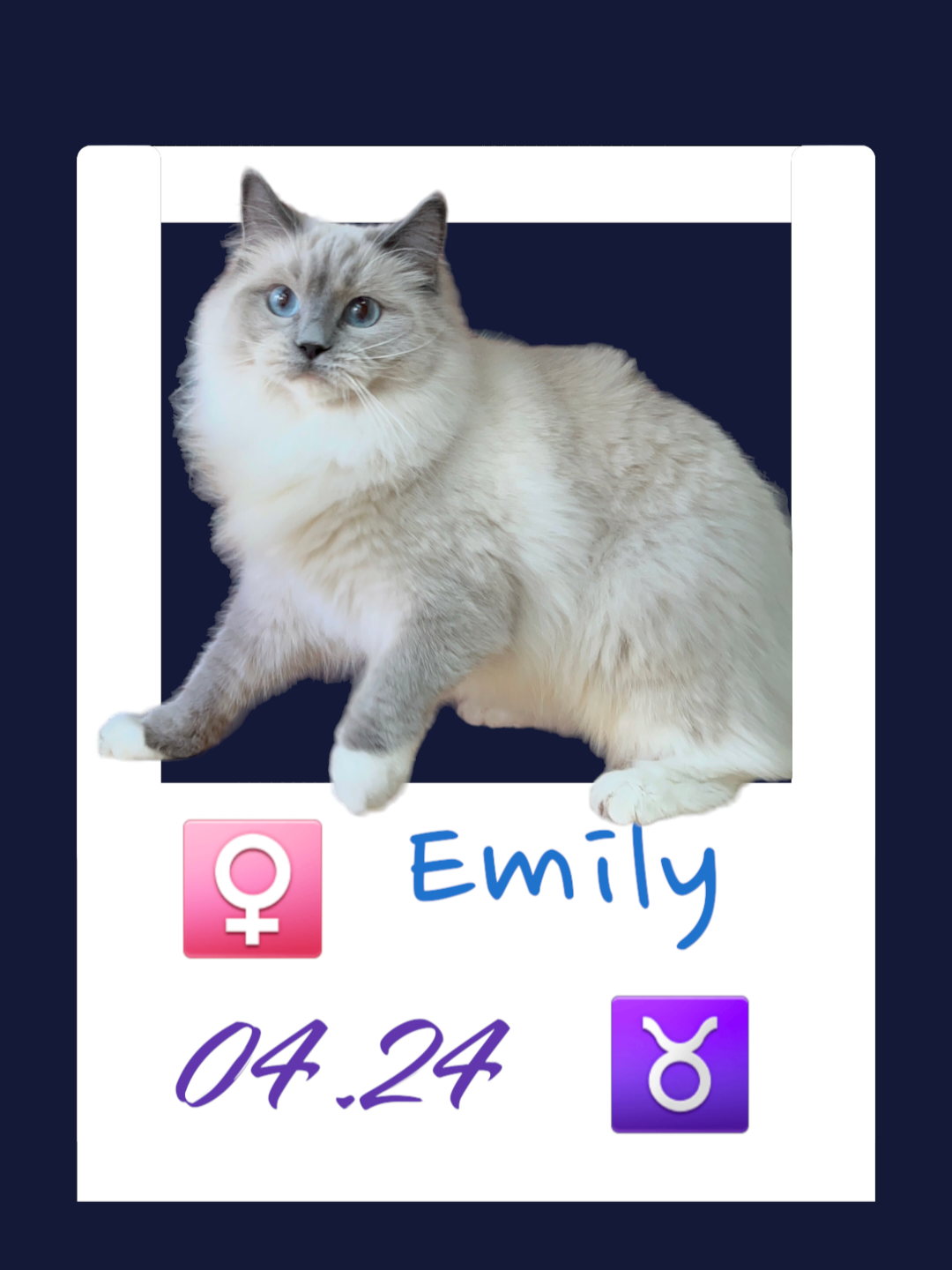 Emily / 丸子