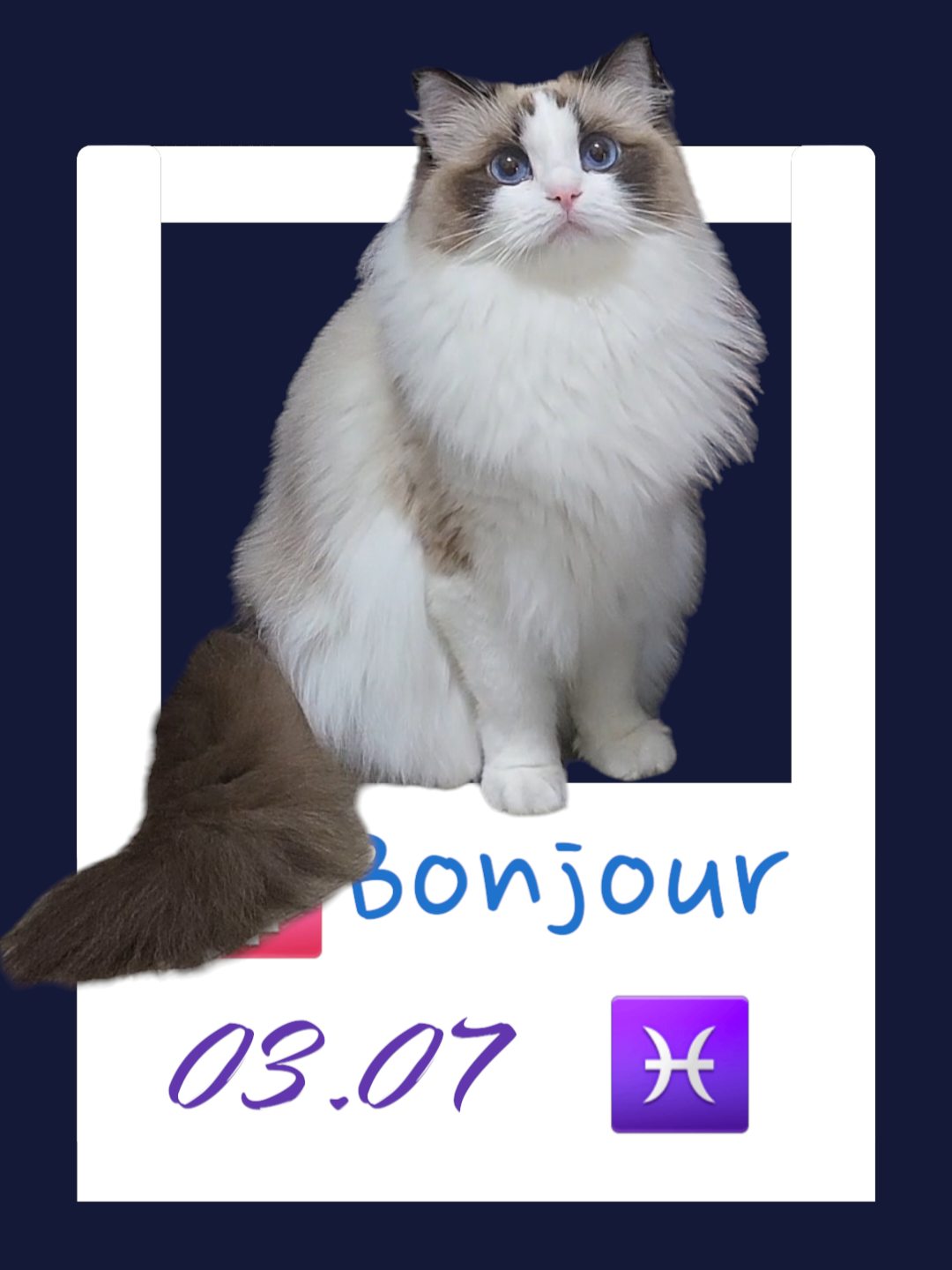 Bonjour / 小B