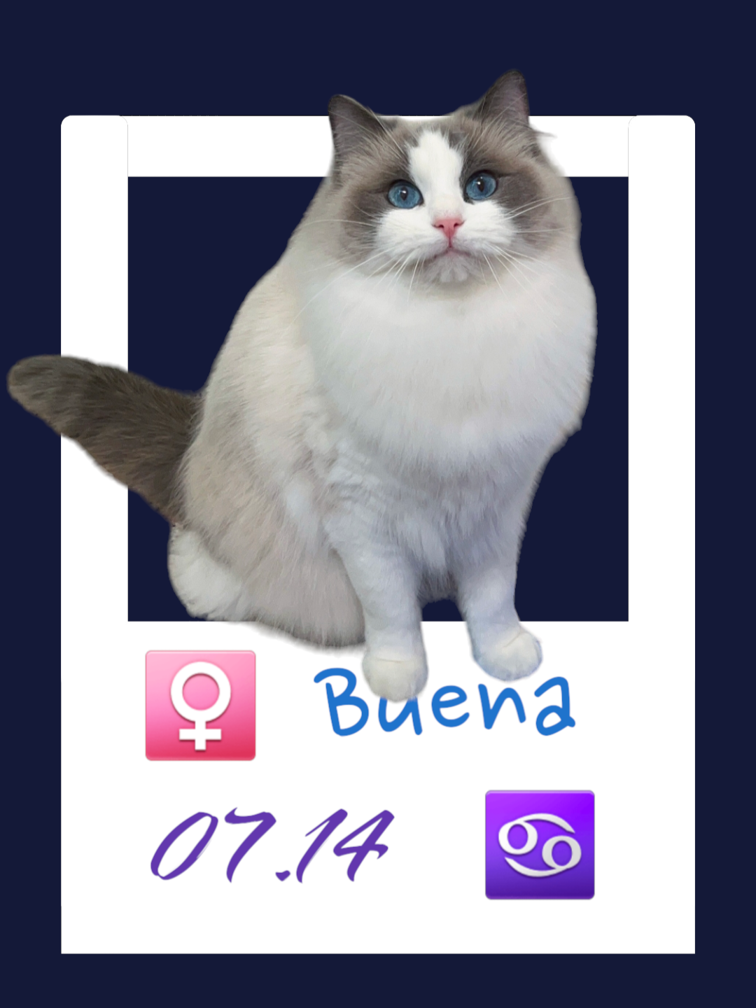 Buena / 荳荳