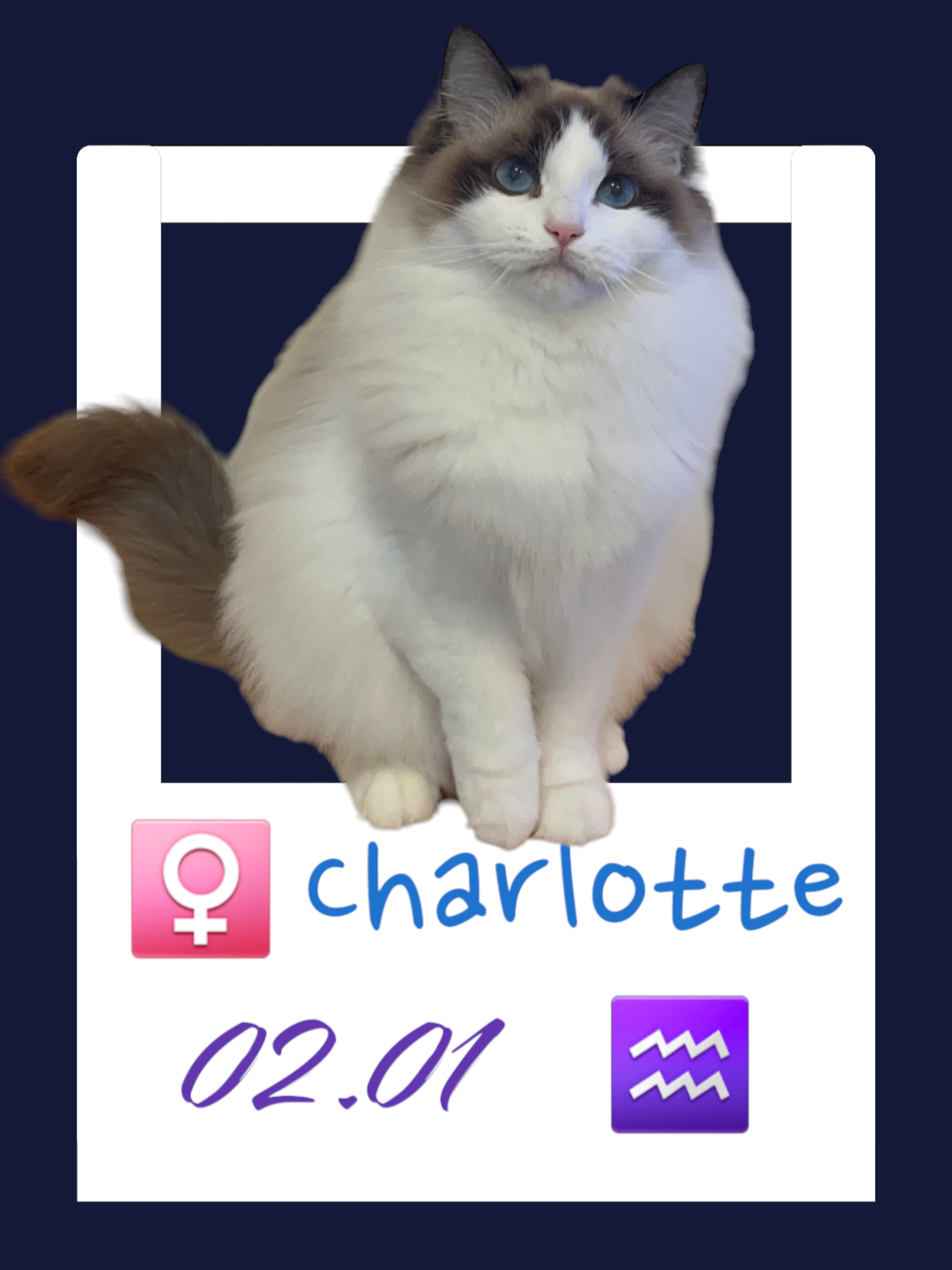 Charlotte / 奶妹