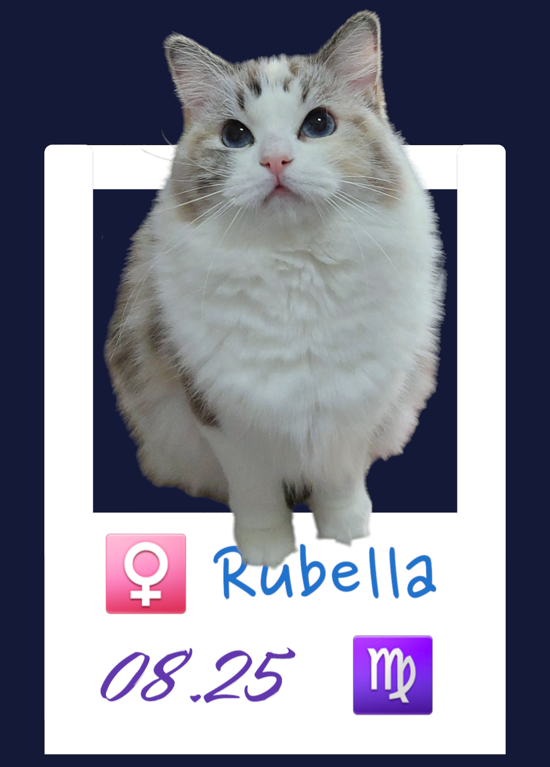 Rubella / 貝菈