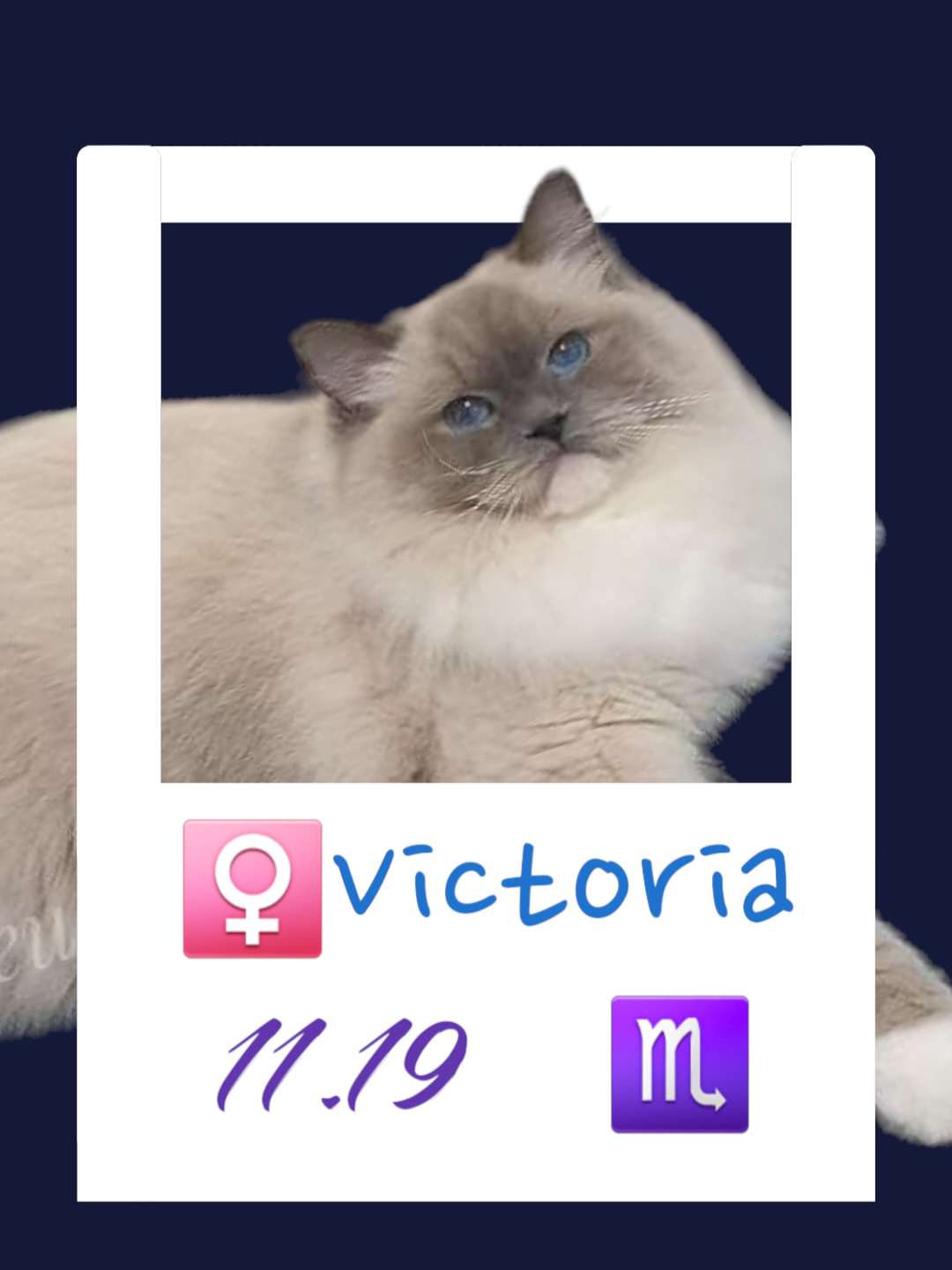 Victoria / 芽芽