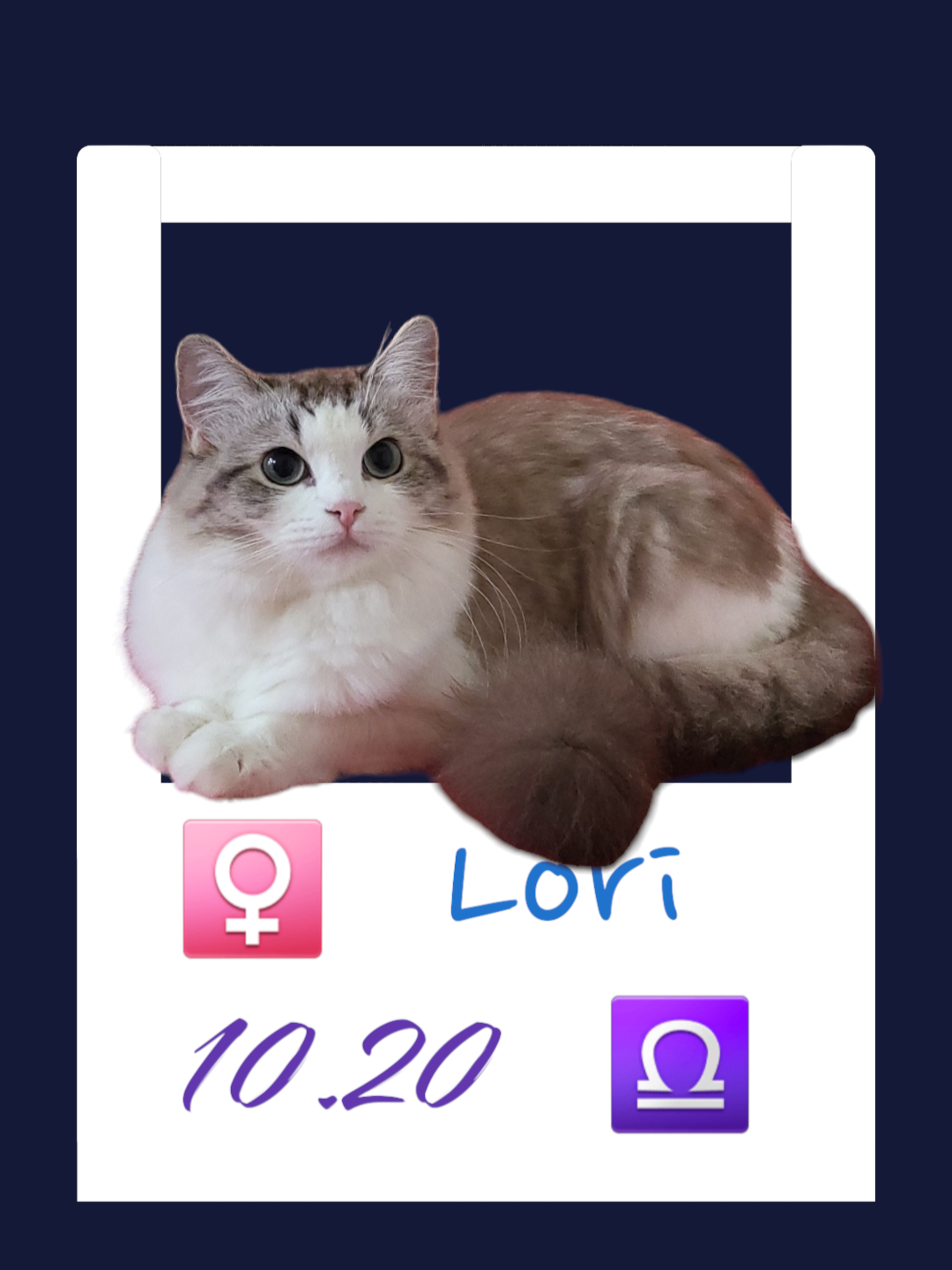 Lori/蘿莉
