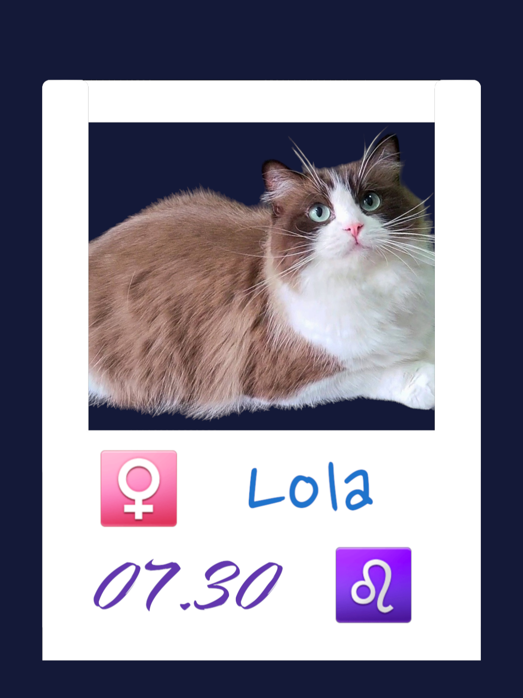 Lola/蘿菈