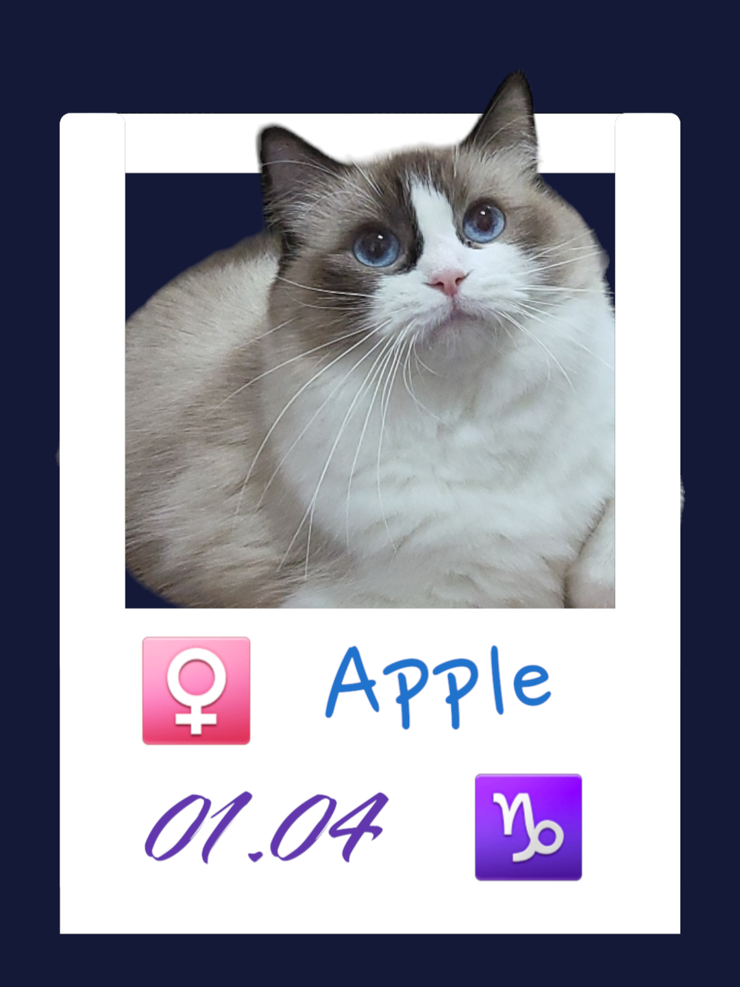 Apple/小蘋果