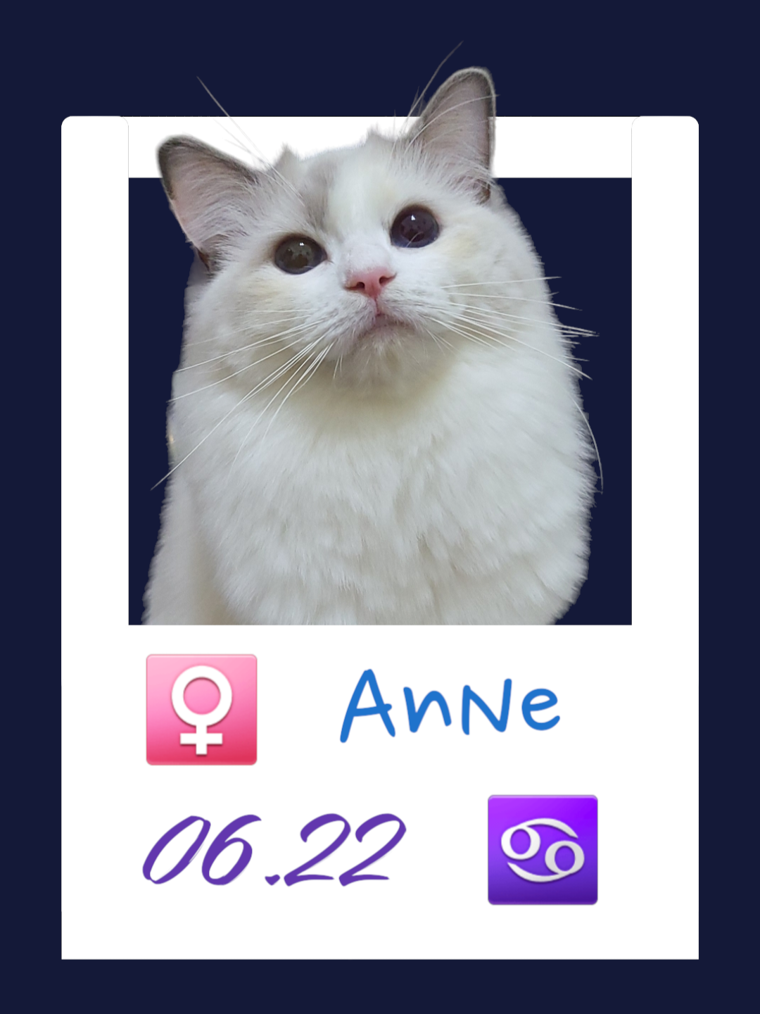 AnNe/安捏