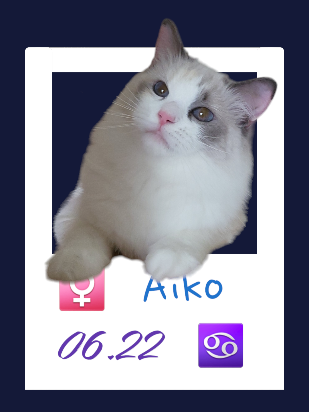 Aiko/半半