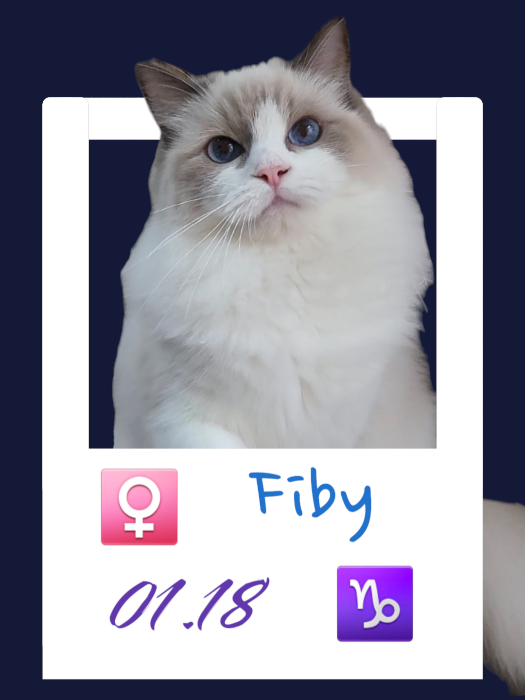 Fiby/菲比