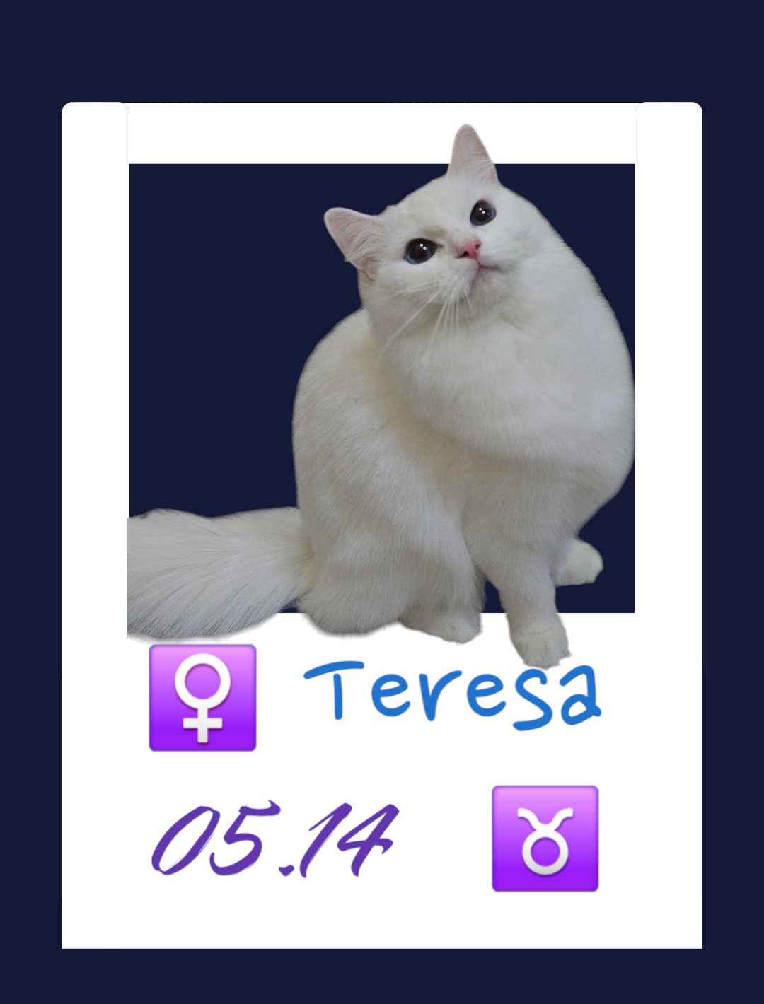 Teresa/奶姬