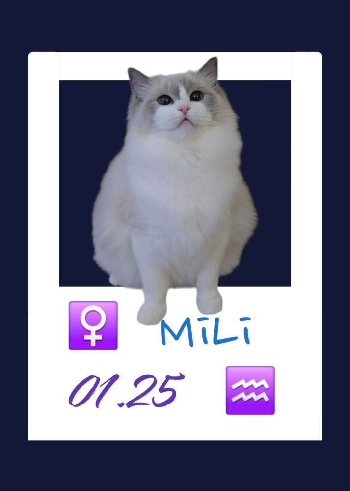 MiLi/米莉