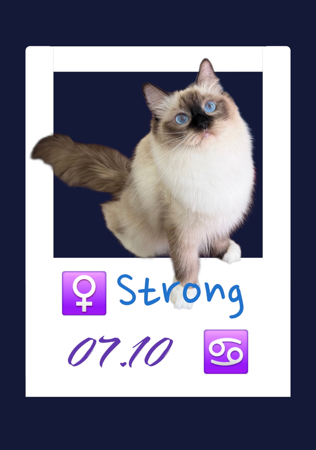 Strong/壯壯