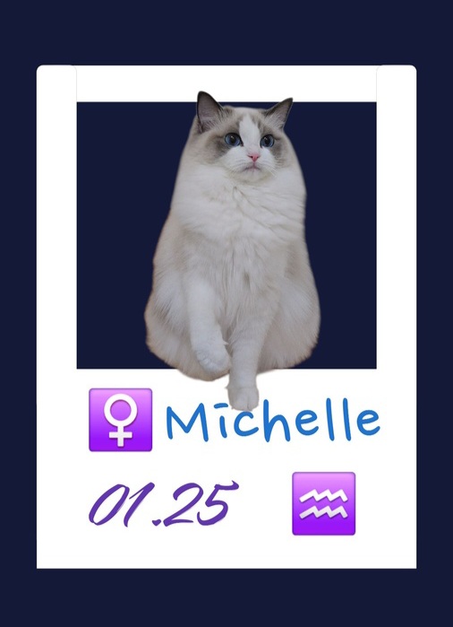 Michelle /米雪兒