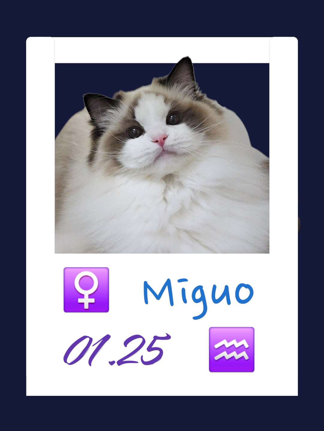 Miguo/米菓
