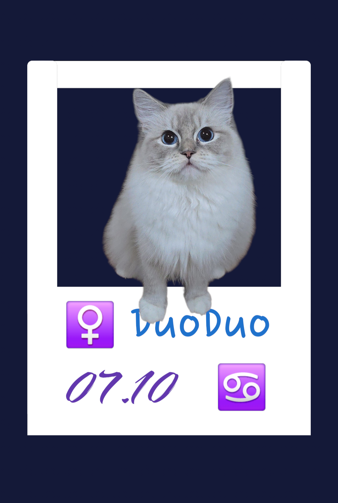 Duo Duo/多多