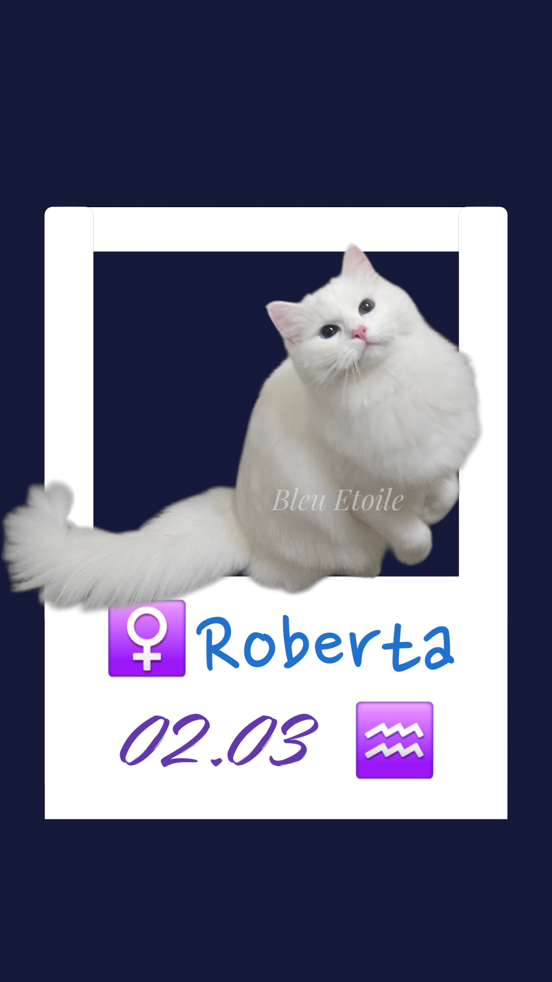 Roberta/塔塔