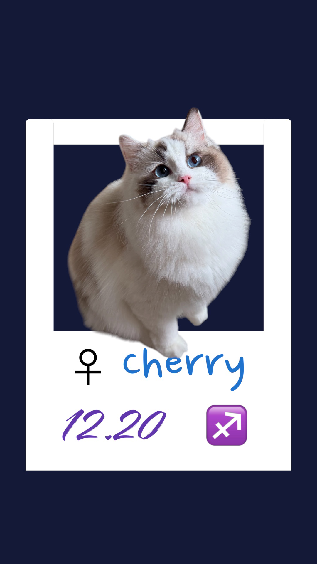 Cherry/櫻桃